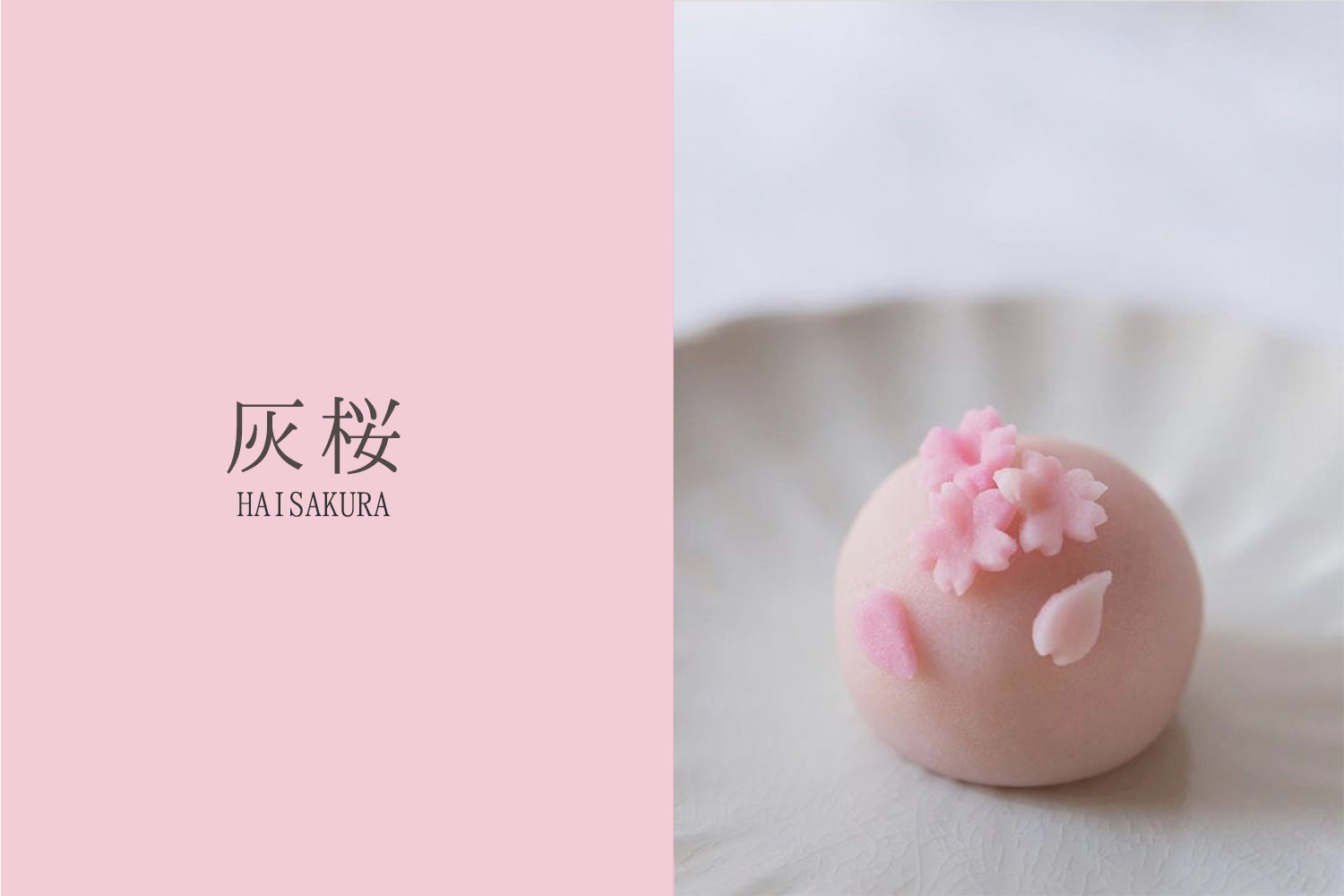 Vol 09 灰桜 はいざくら 和菓子と日本の色 せせ日和